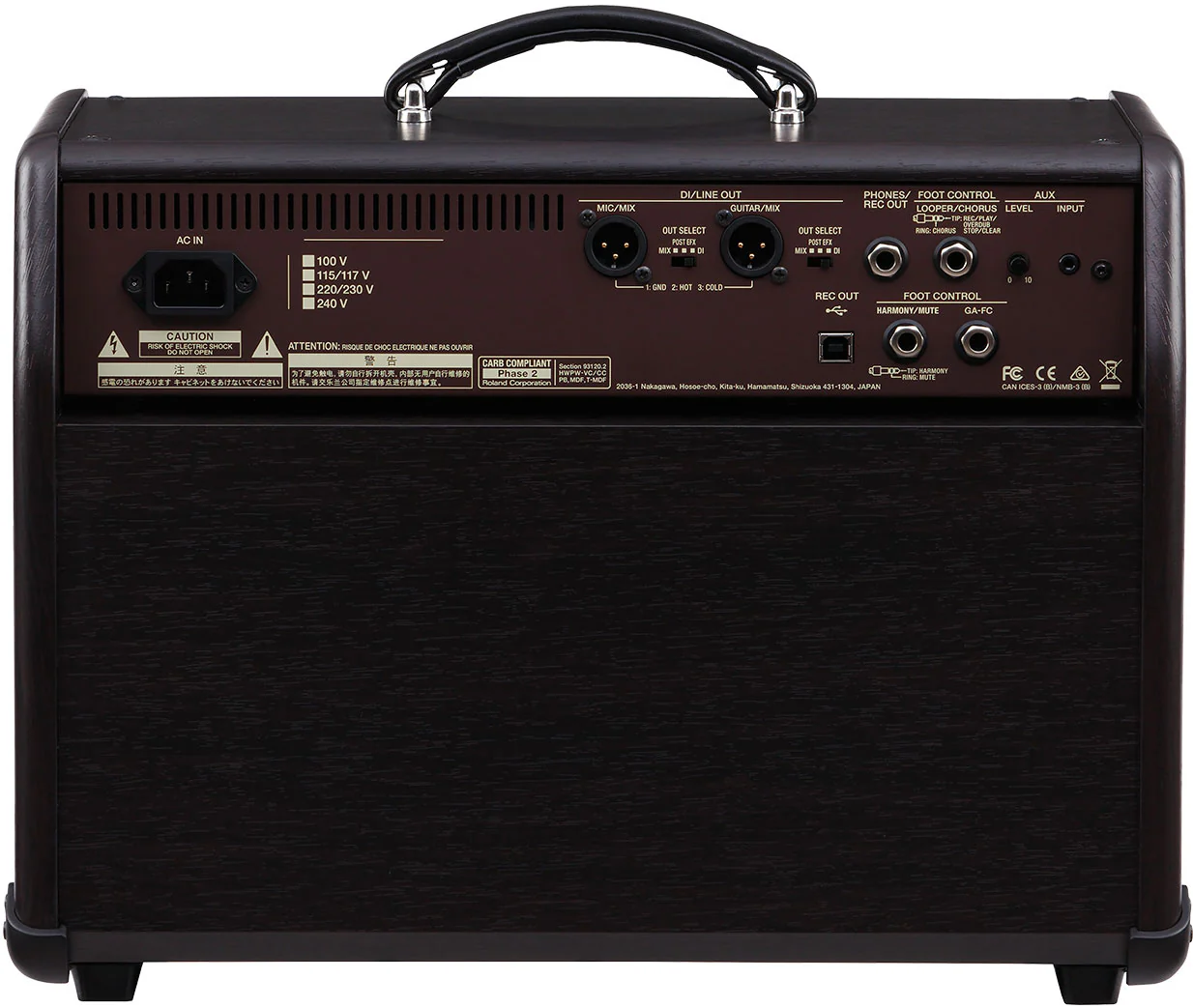 Boss Acoustic Singer Pro - Image 5