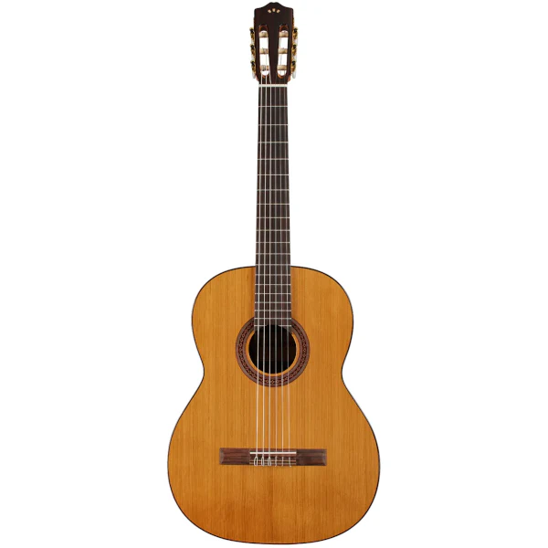 Cordoba C5