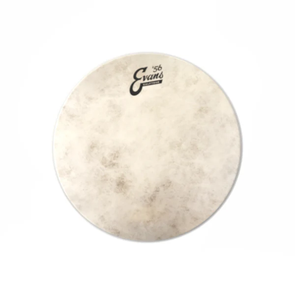 Evans Calftone Drumhead - Image 2