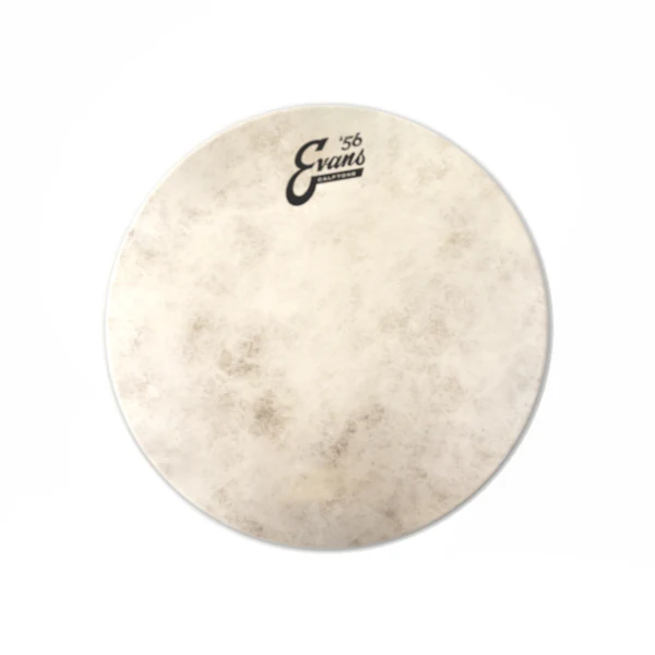 Evans Calftone Drumhead - Image 3