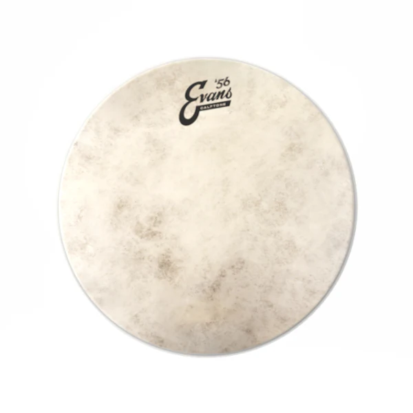 Evans Calftone Drumhead - Image 4