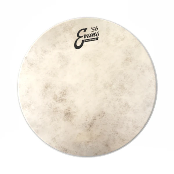 Evans Calftone Drumhead - Image 5