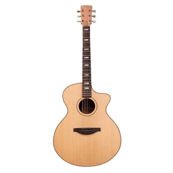 Fenech VT Pro Rosewood Grand Auditorium Cutaway