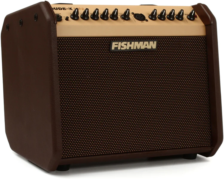 Fishman Loudbox Mini - Image 3
