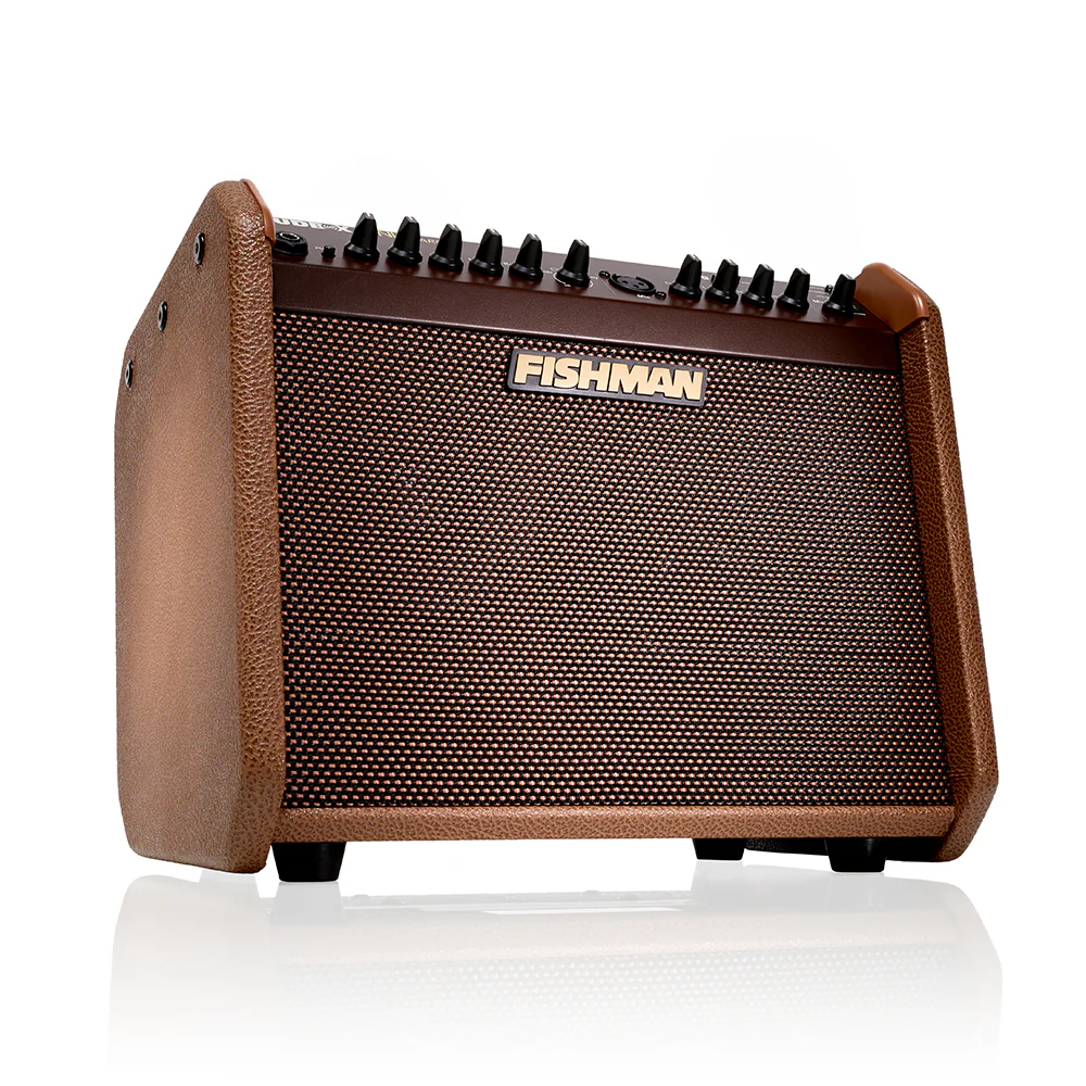 Fishman Loudbox Mini Charge - Image 4