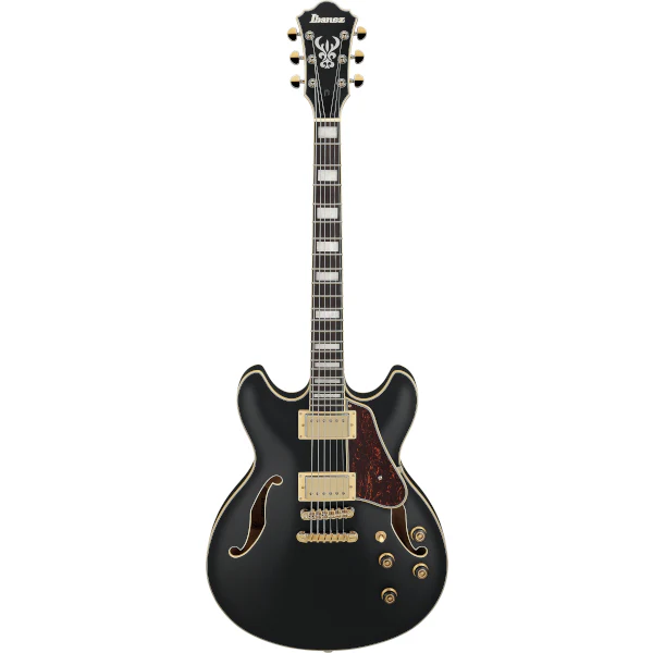 Ibanez AS73G - Image 2