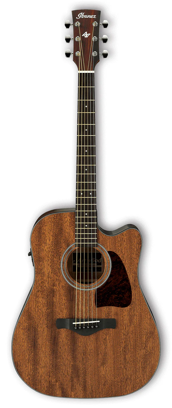 Ibanez AW54CE