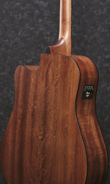Ibanez AW65ECE - Image 2