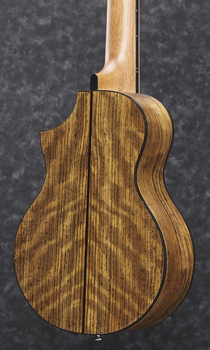 Ibanez EWP14WB - Image 2