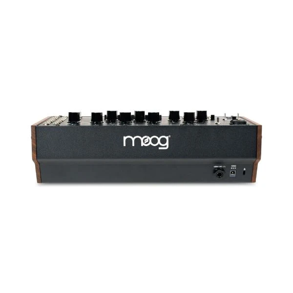 Moog Spectravox - Image 3
