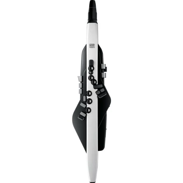 Roland Aerophone AE-20 - Image 2