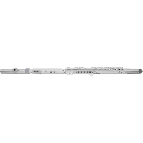 Roland Aerophone Brisa - Image 2