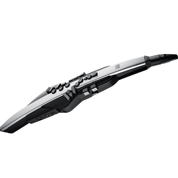 Roland Aerophone Pro AE-30 - Image 2