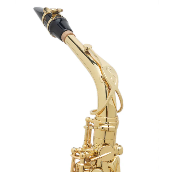 Selmer Paris Axos Alto Saxophone - Image 5