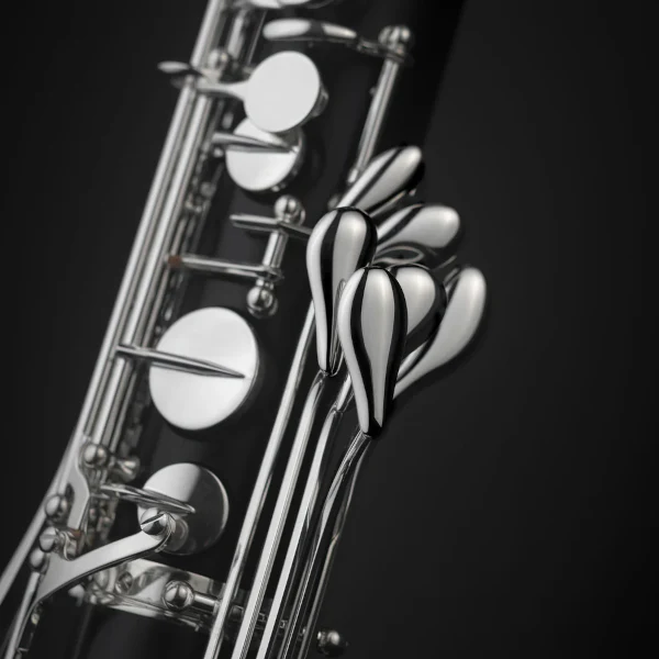 Selmer Paris Privilege Bb Bass Clarinet Model 65 (to Low Eb) - Image 3