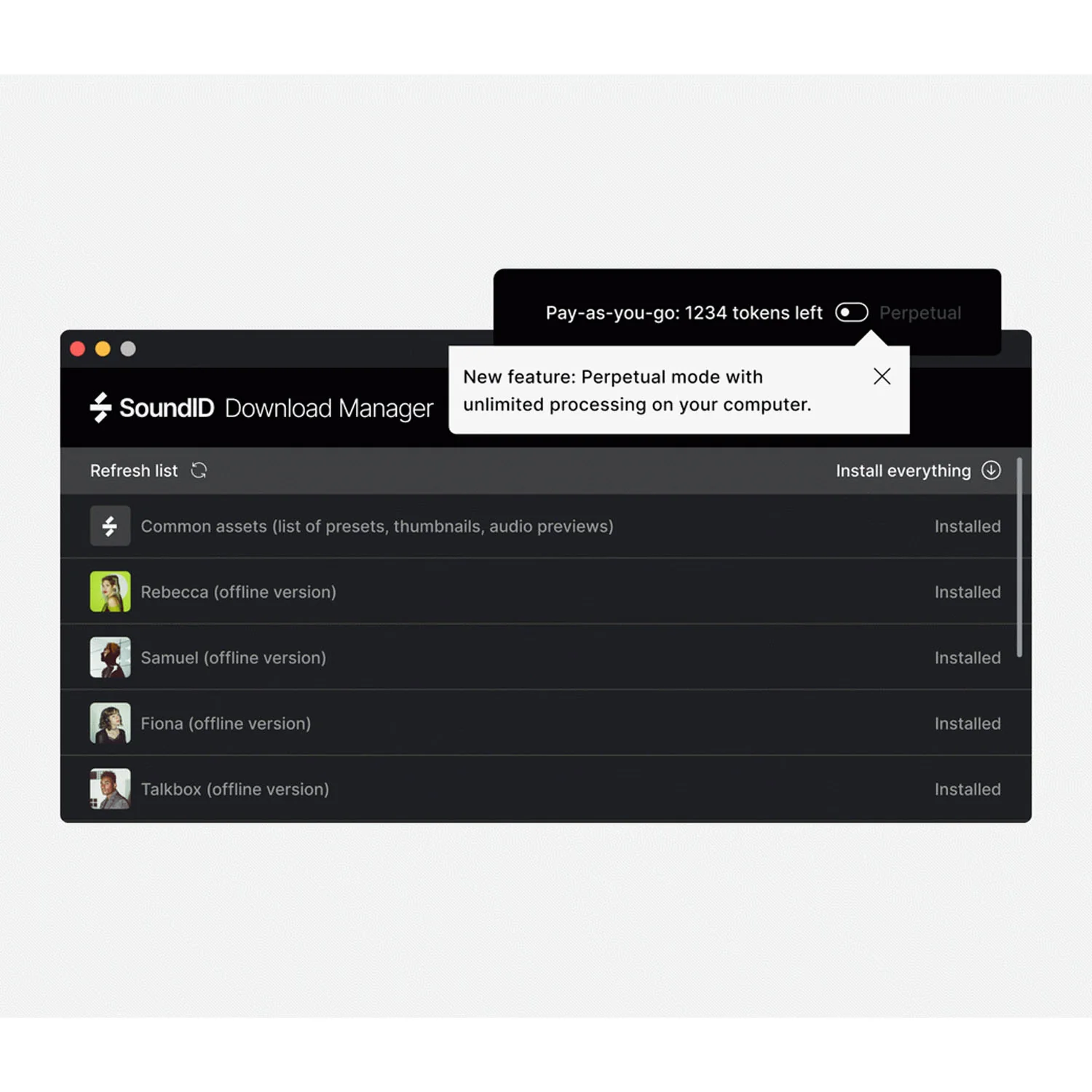 SonarWorks VoiceAI Perpetual License Key - Image 3