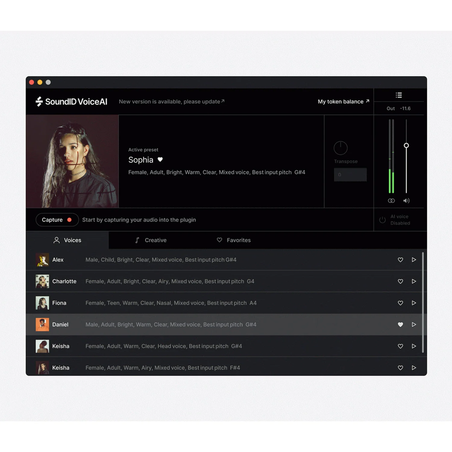 SonarWorks VoiceAI Perpetual License Key - Image 4