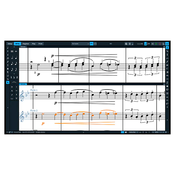 Steinberg Dorico Elements (Education - Latest Version) - Image 2