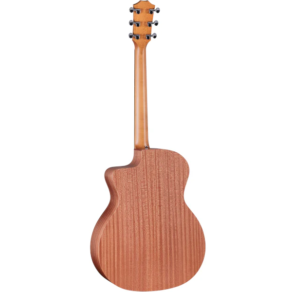 Taylor 24ce - Image 2