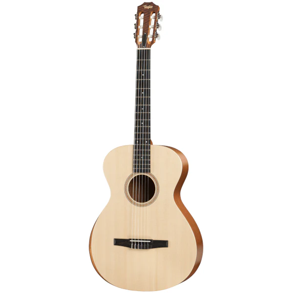 Taylor Academy 12e-N