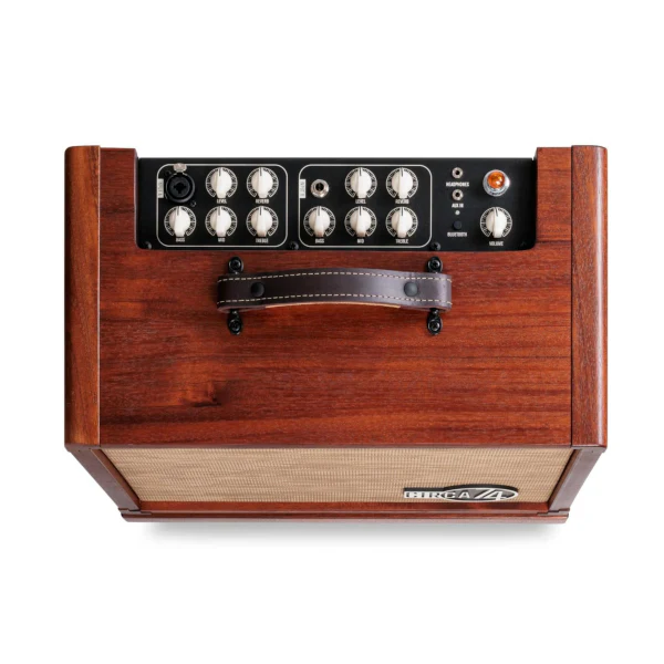 Taylor Circa74 Acoustic Guitar Amp - Mahogany - Image 2