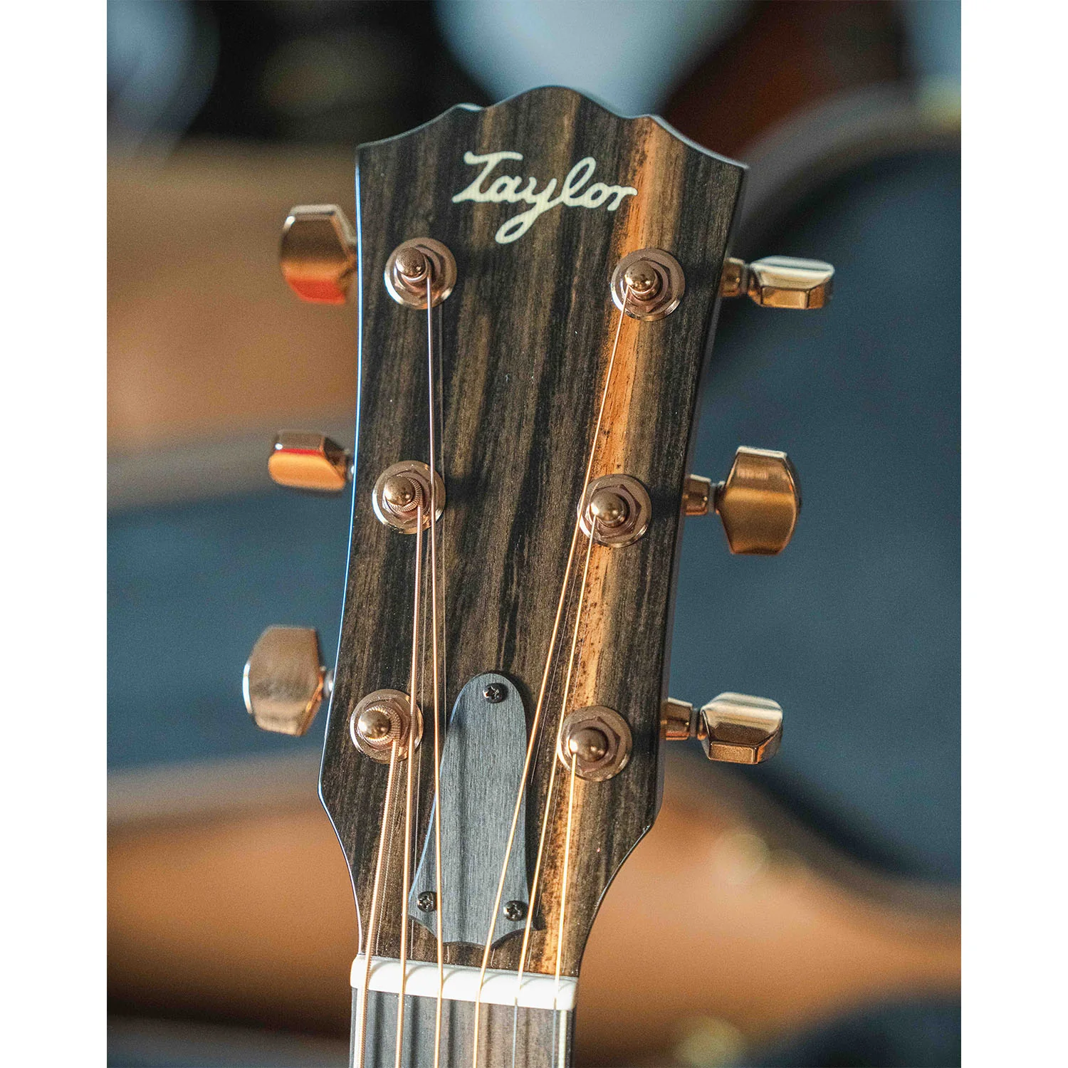Taylor Custom C12e B6001 - Image 13