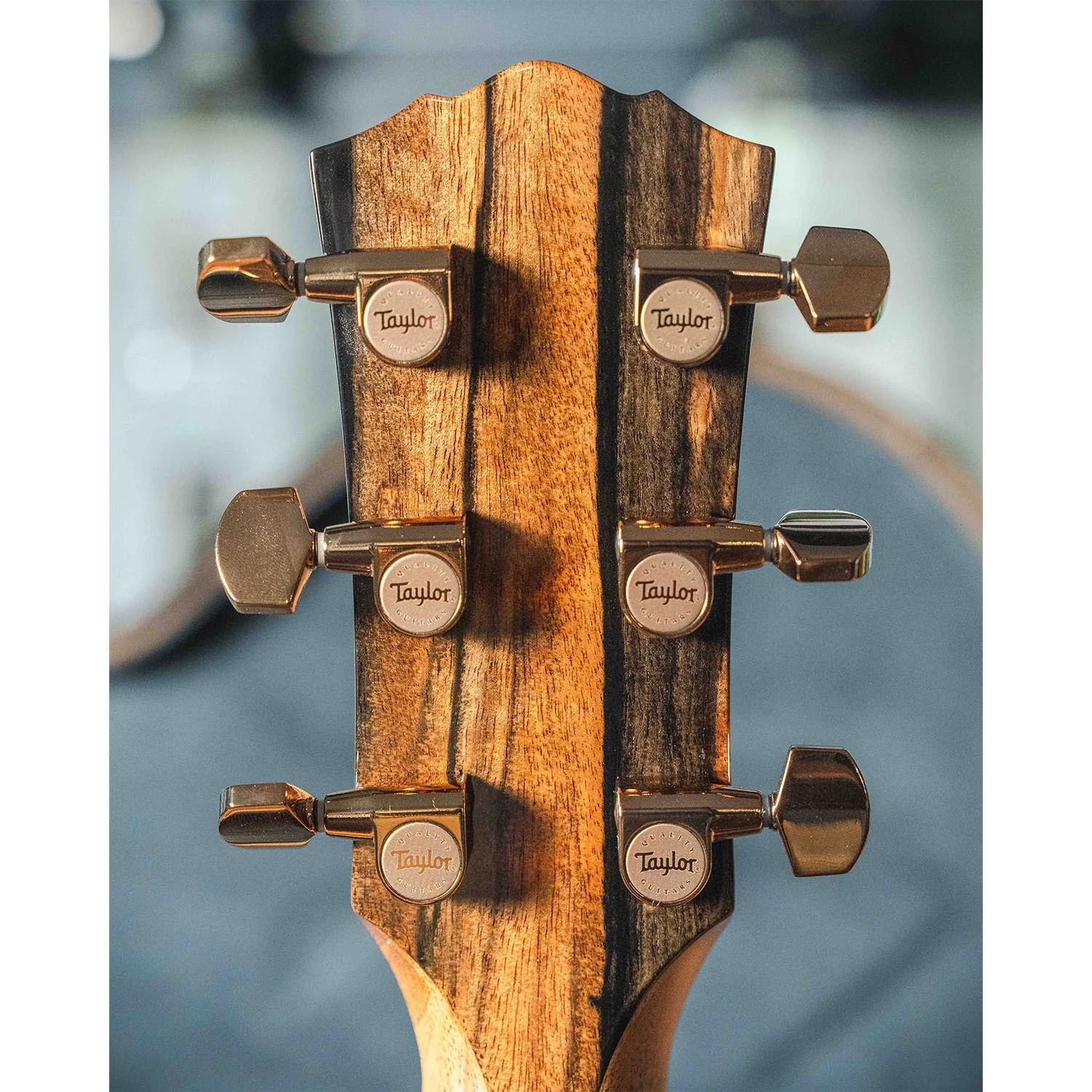 Taylor Custom C12e B6001 - Image 14