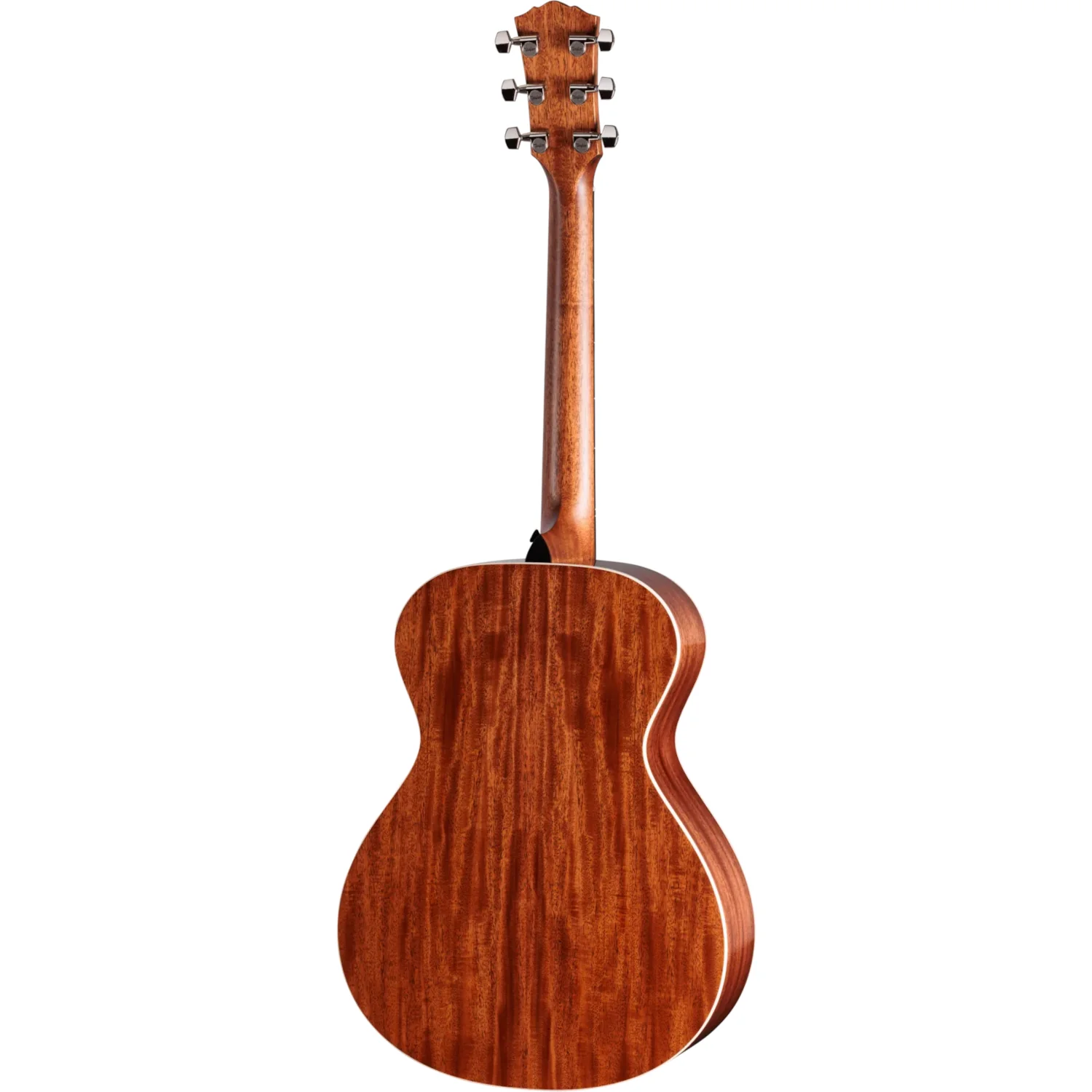 Taylor Gold Label 512e - Image 2