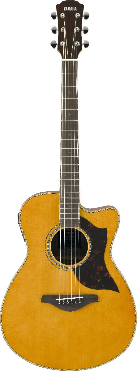 Yamaha AC1M