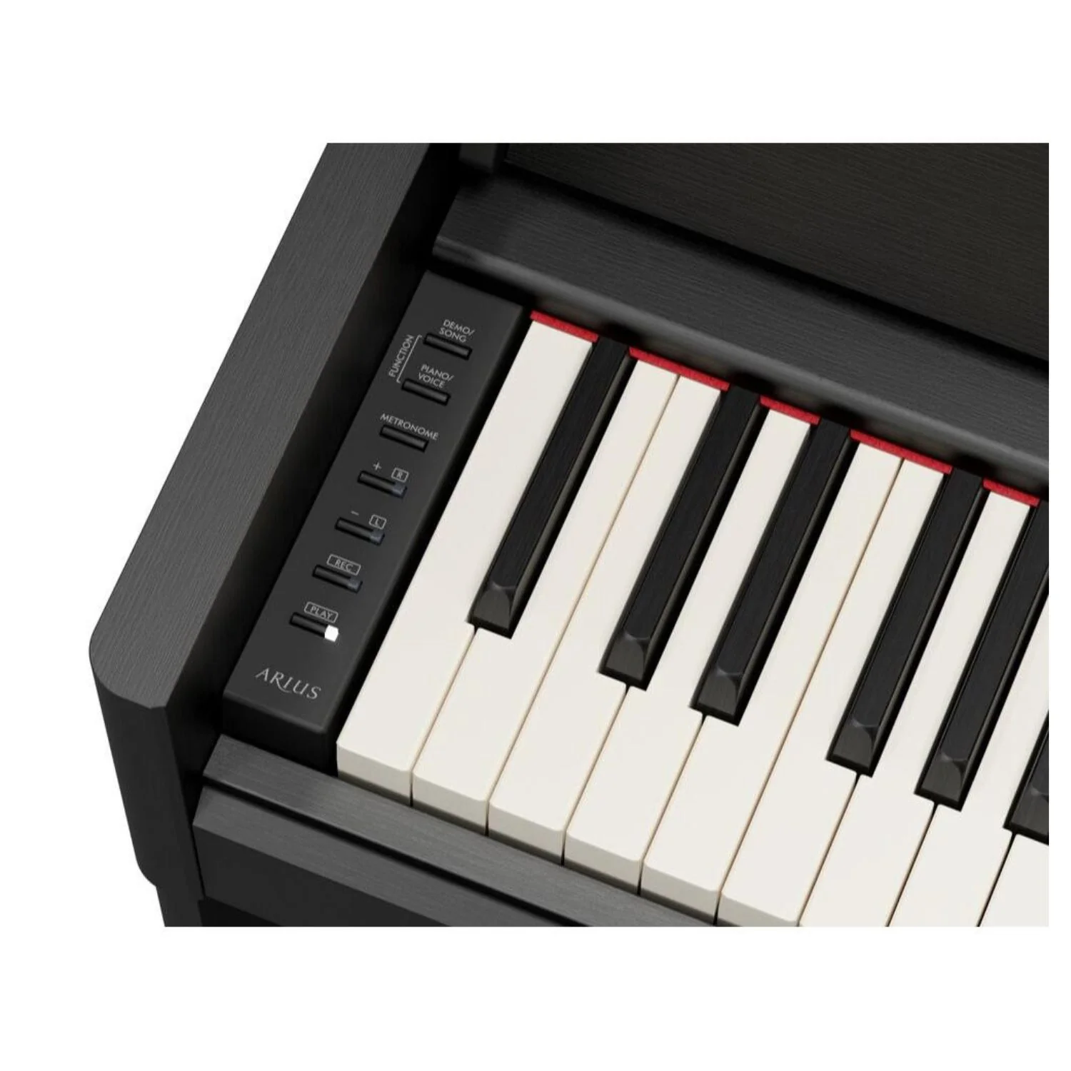 Yamaha Arius YDPS-56 Slim Digital Piano - Image 6